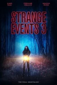  Странные дела 3 