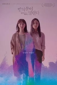  Открылась дверь в ночь 