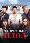  Запретный плод 