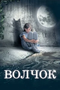 Волчок Волчок