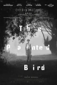  Раскрашенная птица 