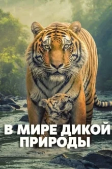 В мире дикой природы
